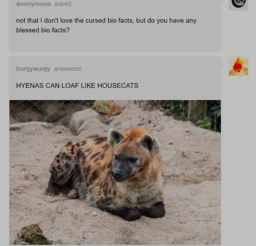 I should totally draw Mari loafing 🍞