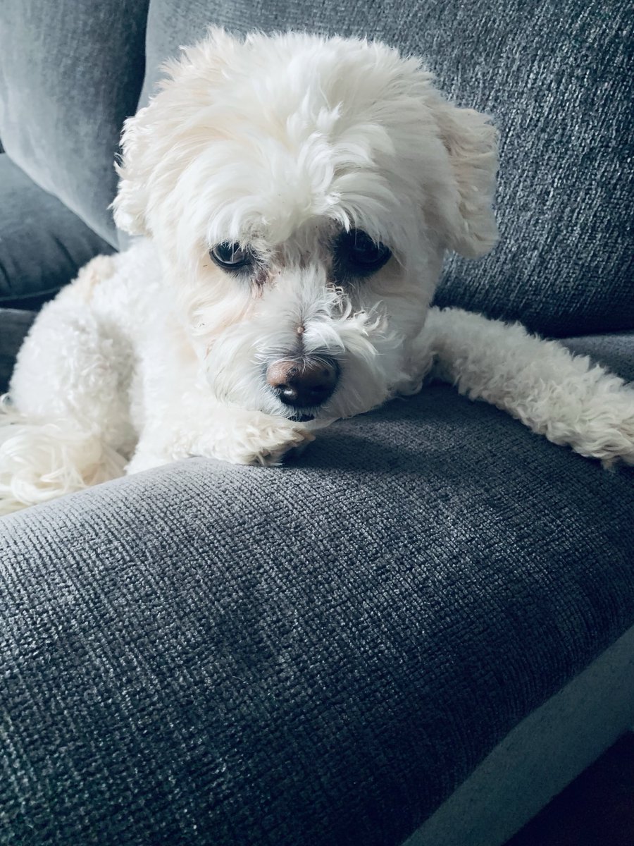 Deedee21991333's tweet photo. Perfection… my usual #OPLive side kick tonight…. #OPNation @ReelzChannel 🩷 #RubyMay https://t.co/b3KG6bvkdo