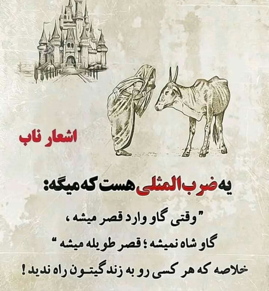 عقاب بال بریده tweet media