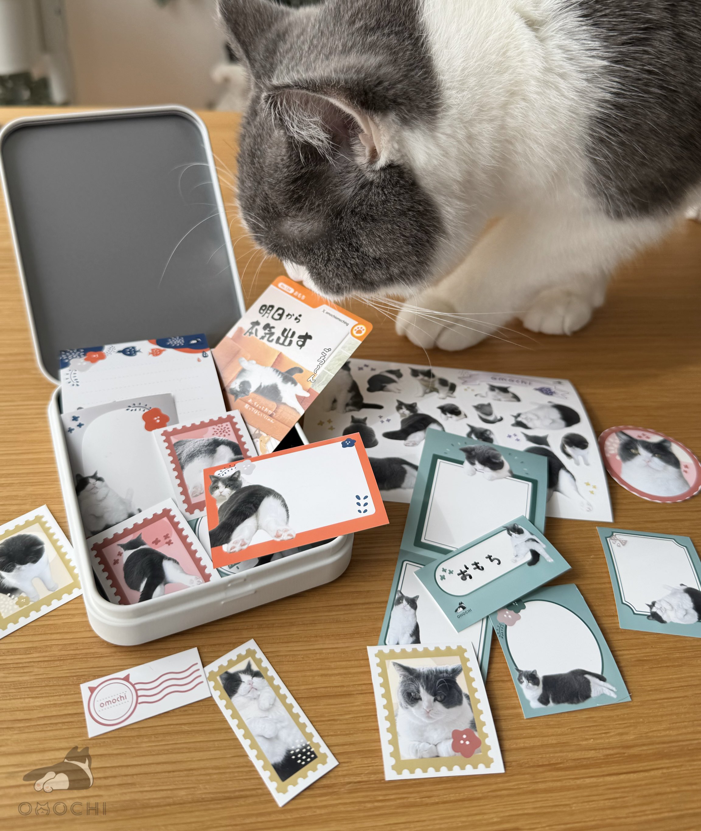 おもち様専用ページ おもち様専用ページ mochi様専用ページ モチ
