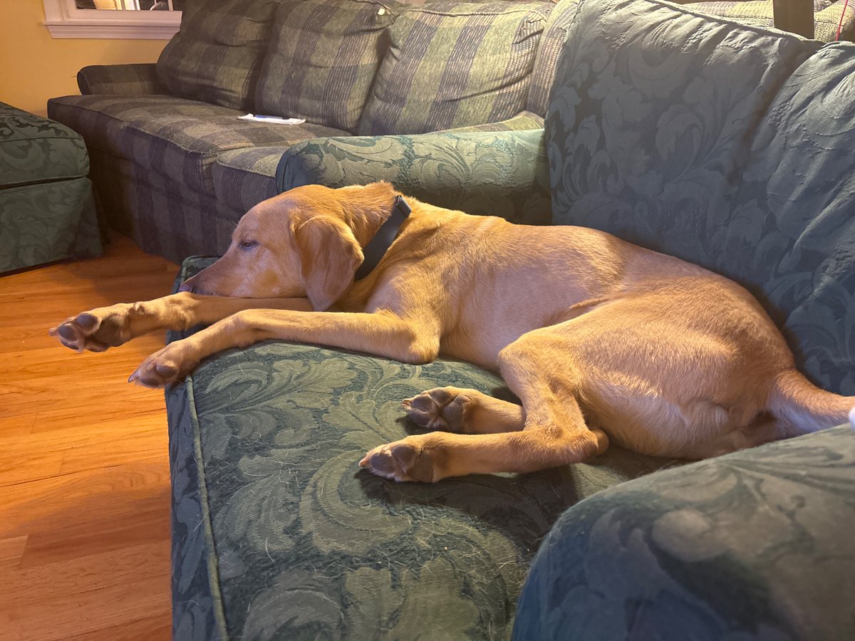 Jack Edwards tweet media