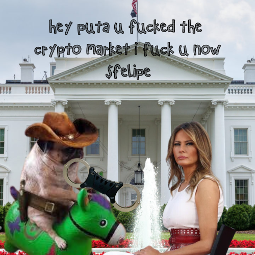 FelipetheSheriff tweet media