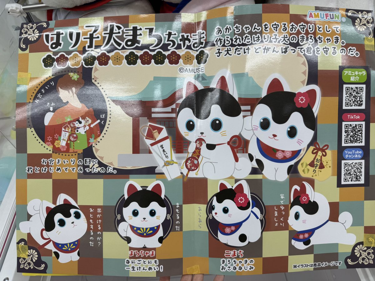 はり子犬まろちゃま入荷しました‼️ はりこいぬとは、子宝や安産