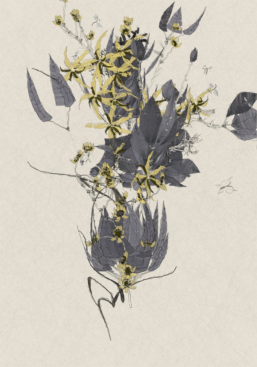 AluanWang (@ioivm) on Twitter photo 