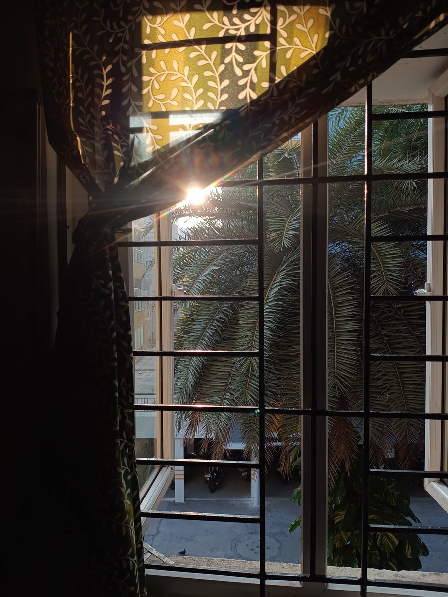 limitless___Sky's tweet photo. #GoodMorningX 🍃🍵
- choice of doing hardwork and doing constant work instead of exploiting the resources and having fun , avoiding distraction is the best thing anyone can do when no one is watching you.🌱
- #excercises and #meditation done ✅
- towards my works
#fitmind https://t.co/HGasBUW1E4