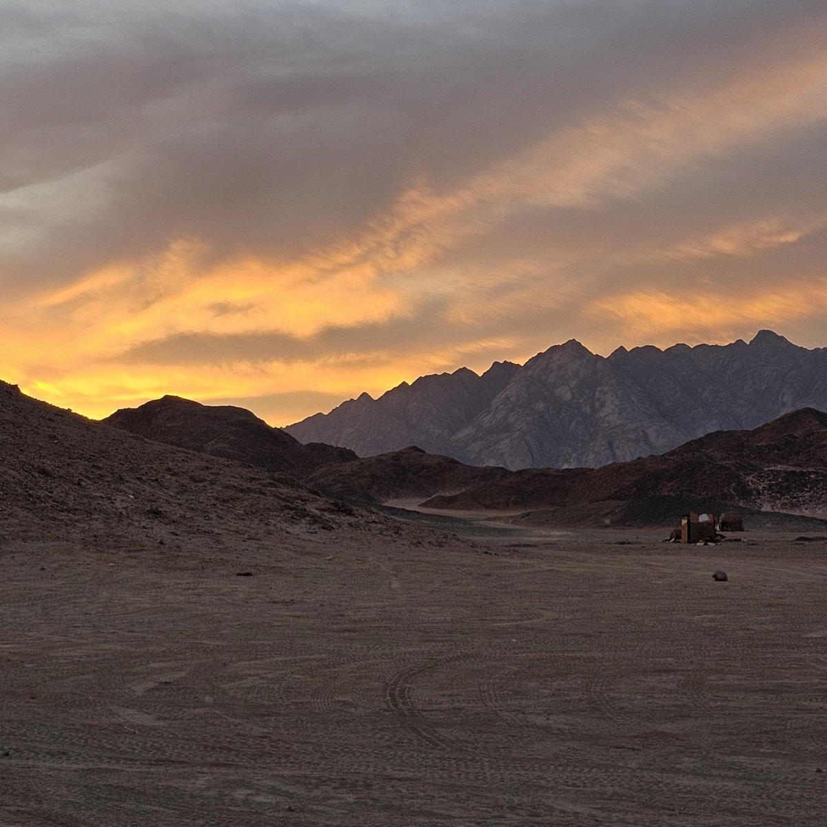 JialingQin's tweet photo. 🏜 https://t.co/ctOP2i7Sg5