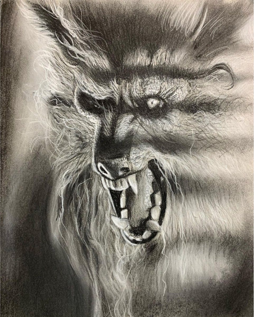 scalf_brandon's tweet photo. Some old charcoal drawings from 2021.  Used stills from Godzilla vs Kong, Godzilla 2000, The Howling, and The Wolfman 2010 for refs.  #charcoal #Godzillafanart #Godzilla #Werewolf #Werewolves #HorrorMovies #traditionalart #fanart #Kaiju https://t.co/KbgQdIY4nm