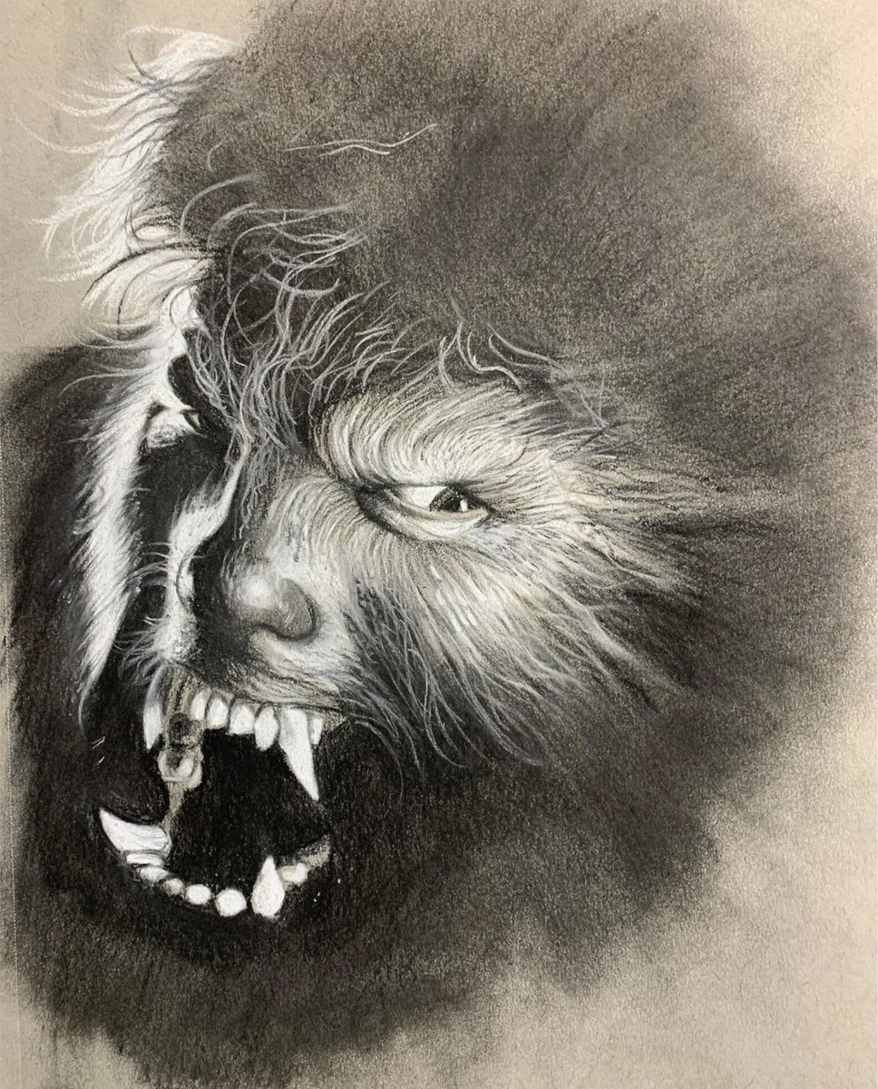 scalf_brandon's tweet photo. Some old charcoal drawings from 2021.  Used stills from Godzilla vs Kong, Godzilla 2000, The Howling, and The Wolfman 2010 for refs.  #charcoal #Godzillafanart #Godzilla #Werewolf #Werewolves #HorrorMovies #traditionalart #fanart #Kaiju https://t.co/KbgQdIY4nm