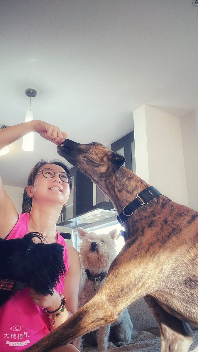 Elva Zhao tweet media