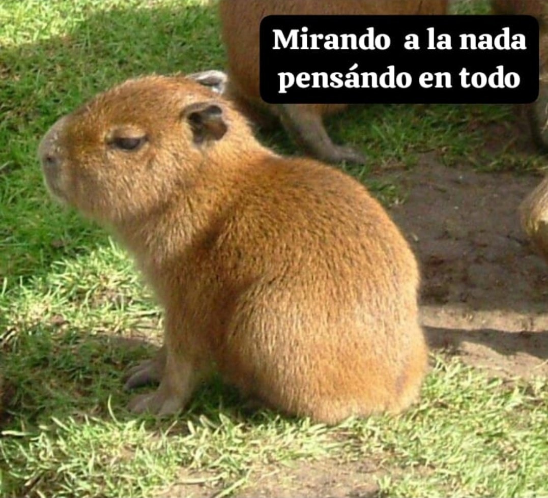 Voy por el núcleo 2/10 y rindo en 2 semanas.
Mood:
