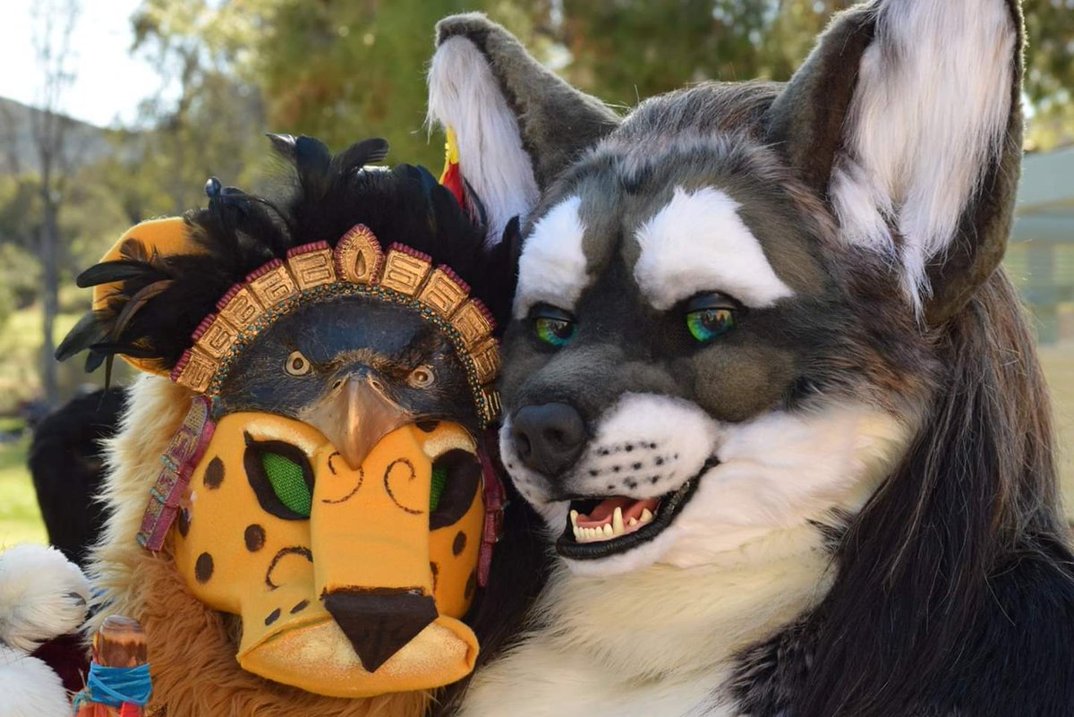 Who saids Cheetahs and Wuffs can't be best friends

Happy late #FursuitFriday 

<a href="/OrvanRabbit/">Orvan Rabbit</a> <a href="/YaltaWuff/">🐺 Yalta Wuff 📷</a>