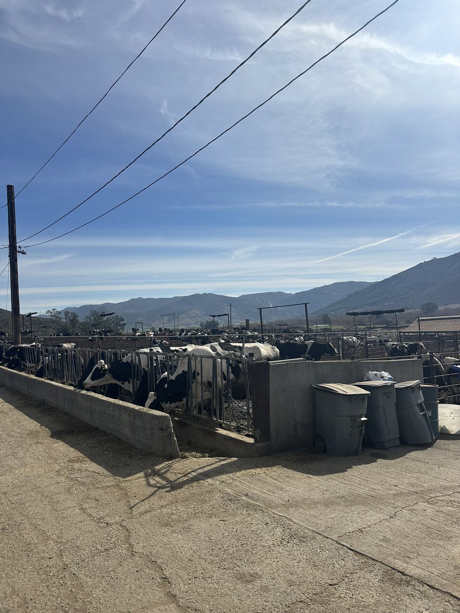 My staff visited the San Pasqual Valley yesterday to meet with Frank Konyn, Matt Witman, and Dr. Craig Kolodge at their respective farms. In addition to some amazing views of the valley, District 5 is home to some of the best citrus and dairy in all of California! 🍊🐄