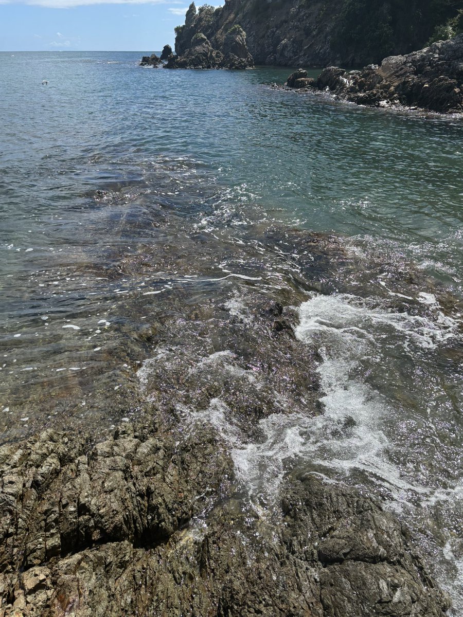 JasminDarnell's tweet image. Beach and book for mind health