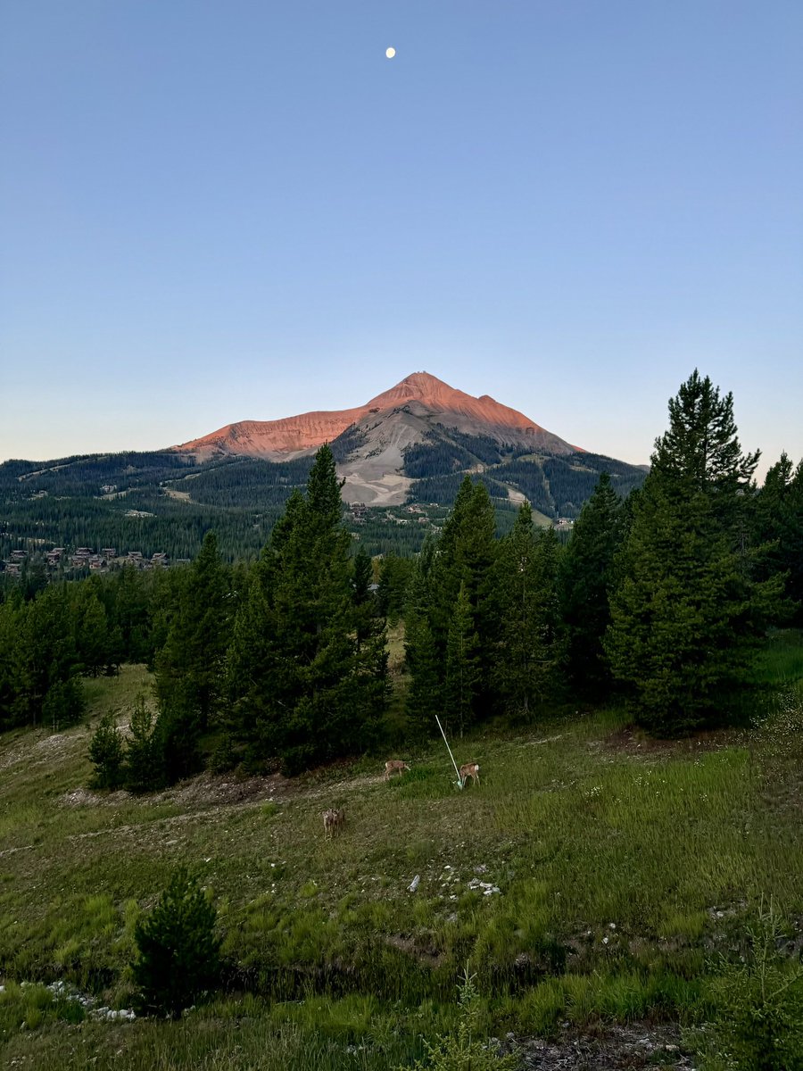 More time outside would do everyone some good.

I love looking back on these old photos.

Can’t wait to get back to God’s country out west ⛰️