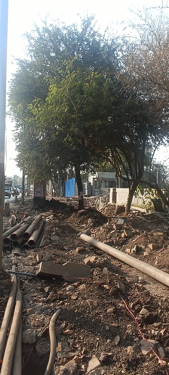 ChaloPmc's tweet photo. ๐จ URGENT: SAVE 300+ TREES IN KOREGAON PARK! ๐จ
๐ณ TREE HEARING ALERT ๐ณ
Puneโs green cover is under attack again! Hundreds of trees are set to be felled. This is our chance to stand up and stop it. Join the public hearing and make your voice heard!
๐ More Citizens = More Pressure ๐
๐ Tuesday, 4th Feb 2025
โฐ 3:00 PM
๐ Dhole Patil Road Ward Office
https://t.co/Oe70LcYgxQ
๐ Once gone, these trees will never return!
๐ข Be there. Speak up. Save Puneโs Trees! ๐
#Pune
#AiraPollution
#KoregaonPark
#RiverFrontDestruction
#SaveTreesOfPune
#NoMoreRoadWidening
#WeWantPublicTransport