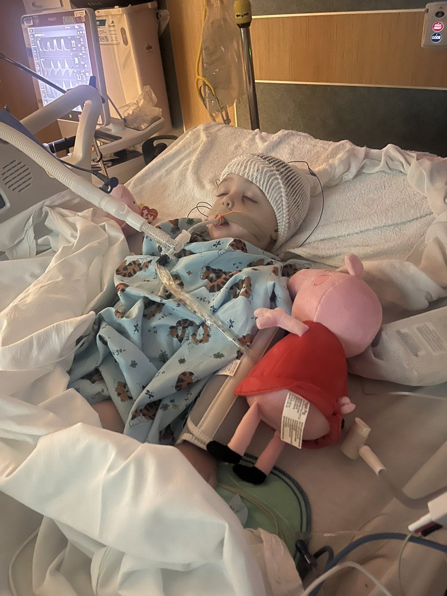 Randy Shaver tweet media