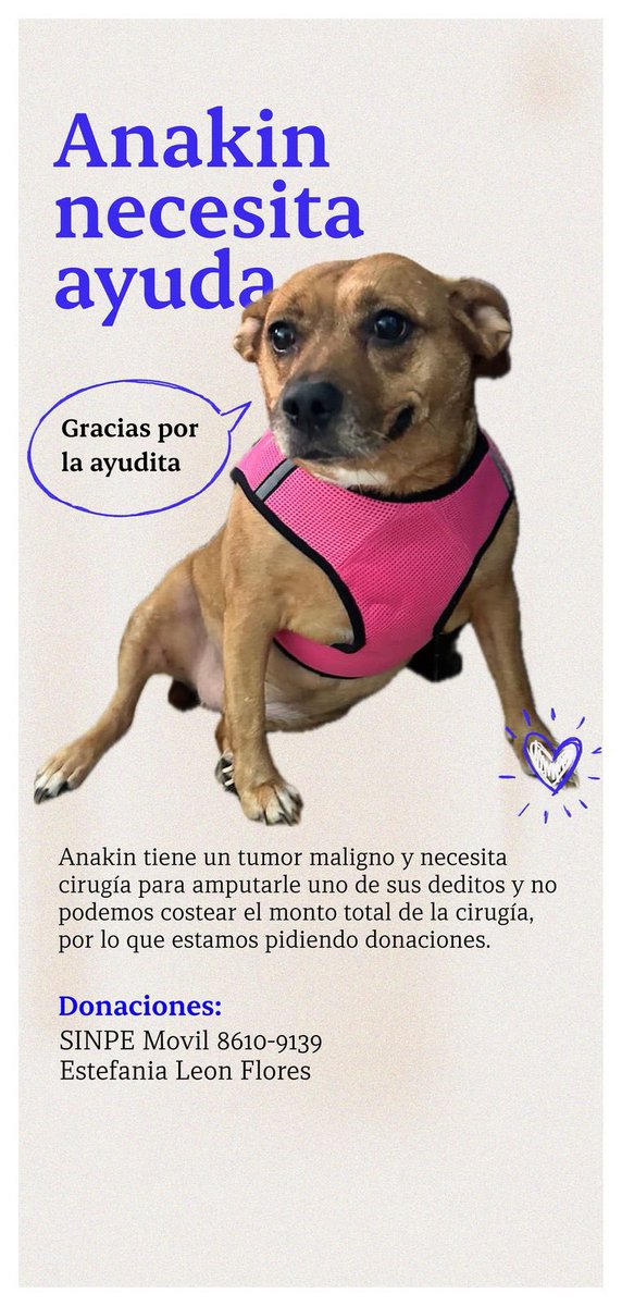 Hola! Les quería pedir su colaboración para poder operar a mi bebita que tiene un tumor maligno en la patita. Cualquier ayuda, desde 5 colones hasta un repost nos ayudaría demasiado. Gracias 🫶🏽