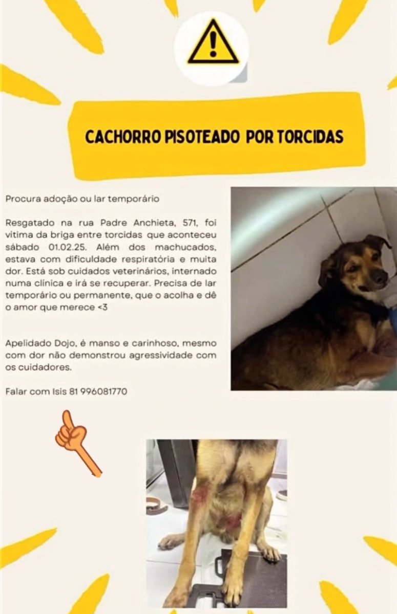 Renato Barros tweet media