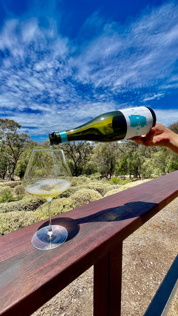 The queue to get onto the beach is sooo long! 

Come and chill before or after your swim with a glass or two and nibbles straight from our fridge of deliciousness. 

The wines are nice &amp; cold! 🥶 

See you soon! 

Aphelion Cellar Door
67 Kays Rd, McLaren Vale
11am - 5pm daily.