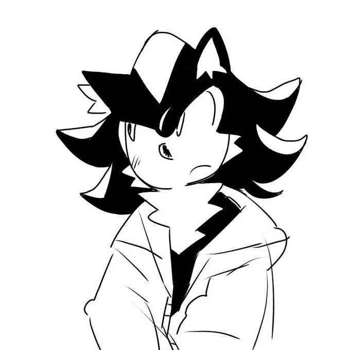 The stupid creature is chilly #ShadowTheHedgehog