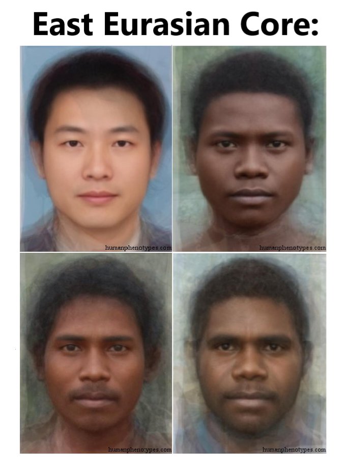 What is 'East Eurasian' ancestry?

'East Eurasian' describes the eastern main branch of ancient Eurasians, after their divergence from West Eurasians at c. 50kya. – Core East Eurasian sub-lineages rapidly diversified after reaching the South-Southeast Asia region at c. 40kya: