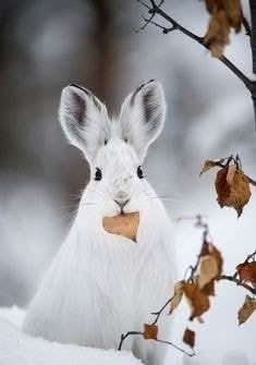 Jeff Smith (@soapdog13) on Twitter photo 