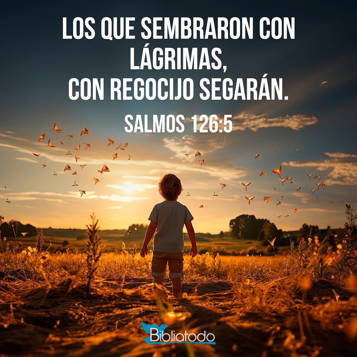 Tus lágrimas serán recompensadas.