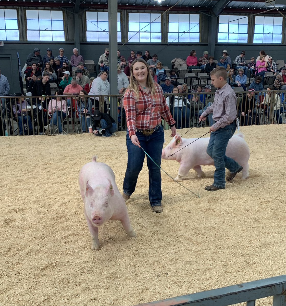 CalhounCoExt's tweet image. Calhoun 4-H’er Stormy Thompson exhibited swine at the Dixie National 4-H/FFA Jr. Round-Up Show. Stormy received 11th Mississippi Bred Barrow, 7th Duroc Hog, and 9th Yorkshire Hog. #MS4H #LearnWithExtension