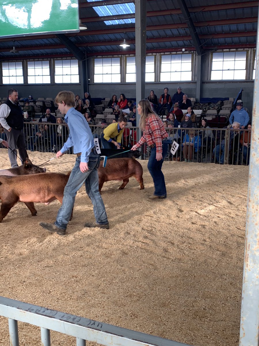 CalhounCoExt's tweet image. Calhoun 4-H’er Stormy Thompson exhibited swine at the Dixie National 4-H/FFA Jr. Round-Up Show. Stormy received 11th Mississippi Bred Barrow, 7th Duroc Hog, and 9th Yorkshire Hog. #MS4H #LearnWithExtension
