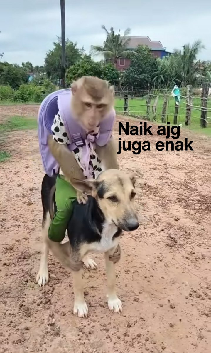 anggotapersami's tweet photo. @SupirPete2 Naik ini aja https://t.co/lBysbsz0re