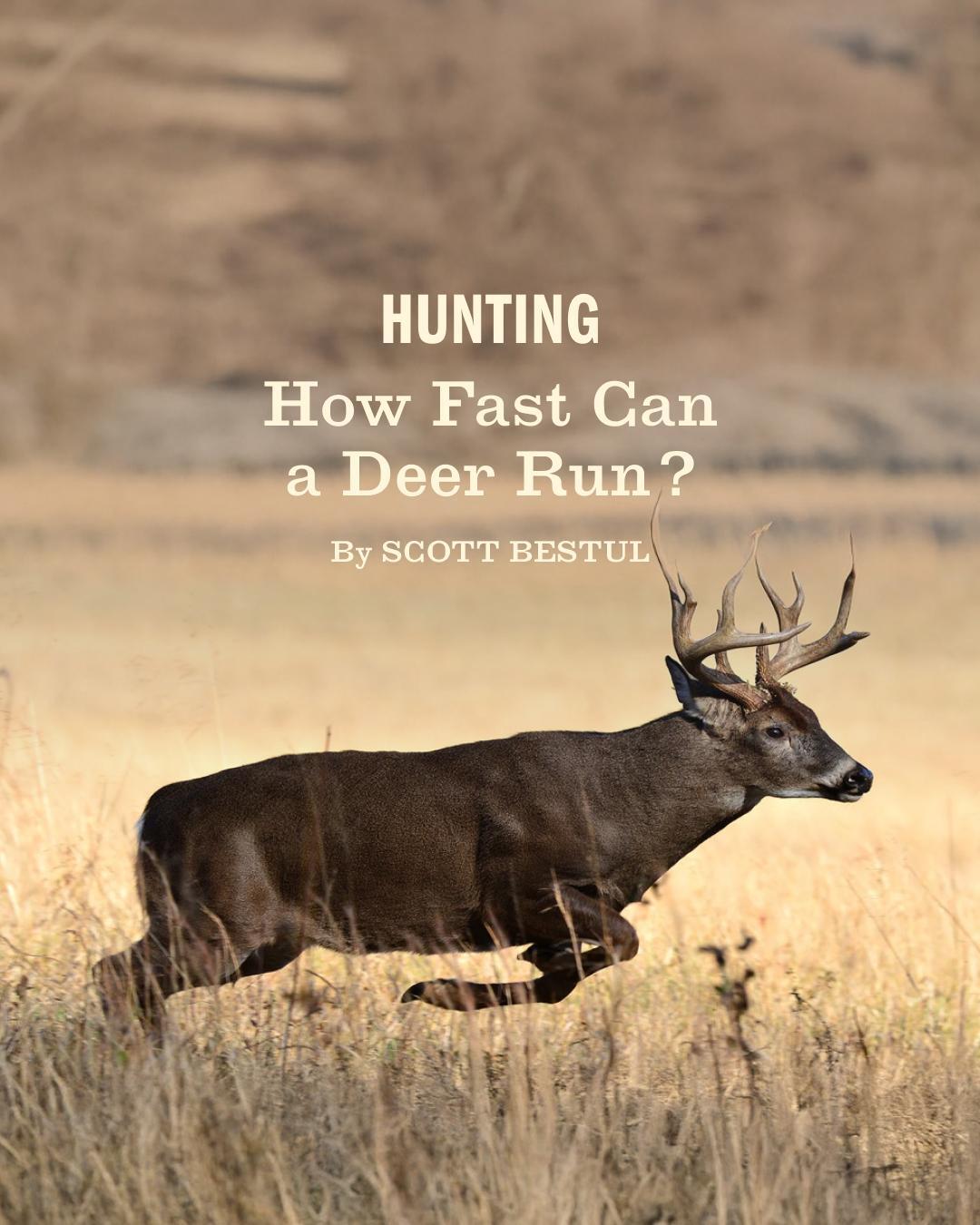 Field Stream on X Anyone who s seen a deer bounding along a hay field or zipping across a road should have no trouble believing that these critters are pretty fleet of