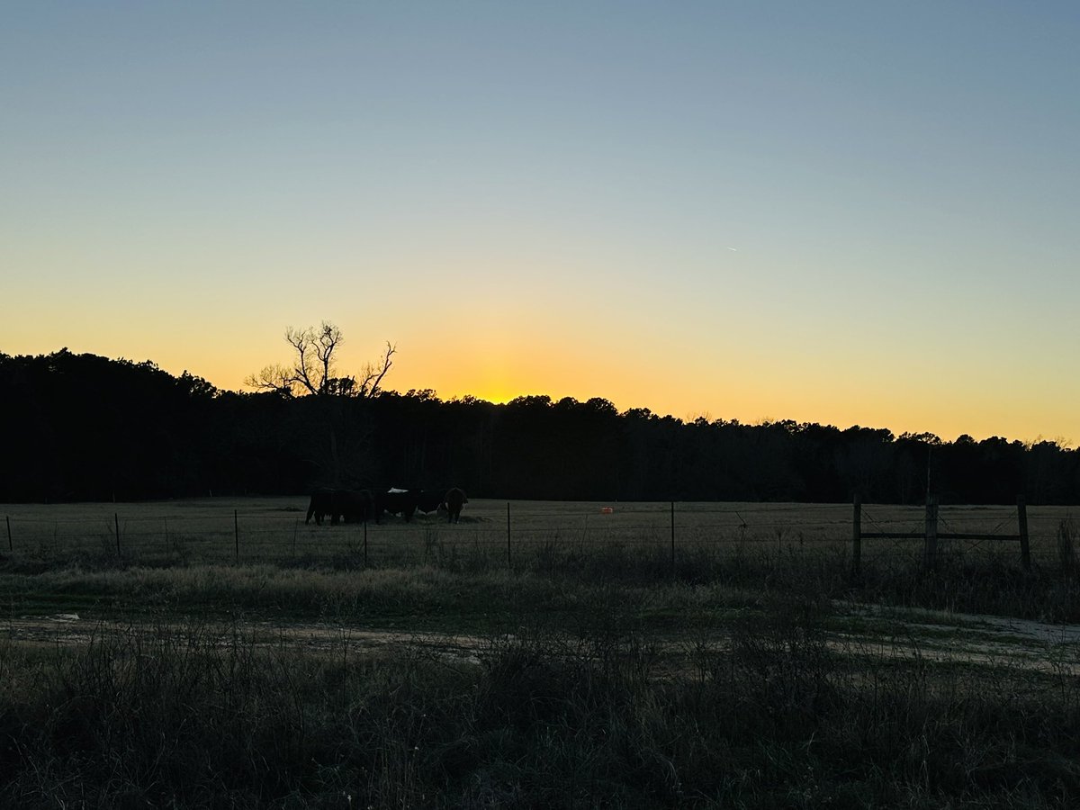 wadestanford's tweet photo. From sunrise to sunset, the first day of February has been a beautiful day!!
#sunrise #sunriseoftheday #sunrisephotography #sunriselover #sunrises #sunset #sunsets #sunset_pics #sunsetlovers #sunsetphotography #sunsetlover #sunsetsky #sunsetgram https://t.co/MOQ0UOE5rV