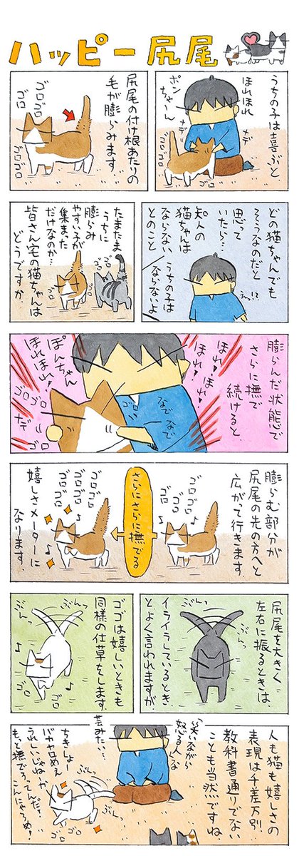 嬉しさ楽しさ│フェリシモ猫部 https://t.co/iiXKyFjfuR 