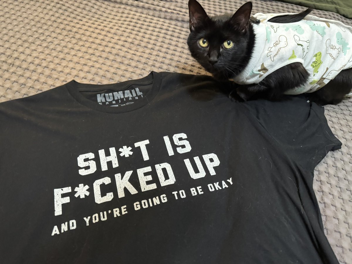 ArielTesch's tweet photo. Luna, my 13-year-old kitty, is recovering from major surgery. 
 
@kumailn and @emilyvgordon, thank you for an evening filled with laughter. I needed the reminder that I’m going to be okay after an incredibly long January. From a fellow cat lover, I wish Bagel the best. https://t.co/xgJ2R74R0L