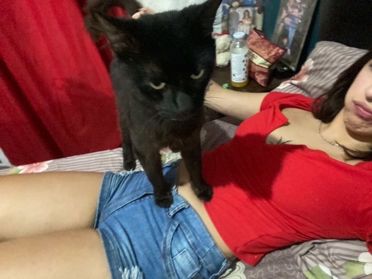 moiiilii's tweet photo. se fue el ser que ame con toda la vida, el amor de mi vida, mi hijo, mi mejor amigo, ese que siempre estuvo conmigo en todos mis momentos, al que ame con el alma, no lo puedo creer, te ame y te voy a amar siempre, ya no se que más hacer sin vos mi bebé gordo.❤️‍🩹 https://t.co/RbPr3Kc2X7