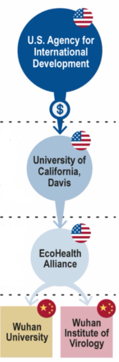 MikeBenzCyber's tweet image. Why was USAID funding the Wuhan Lab?