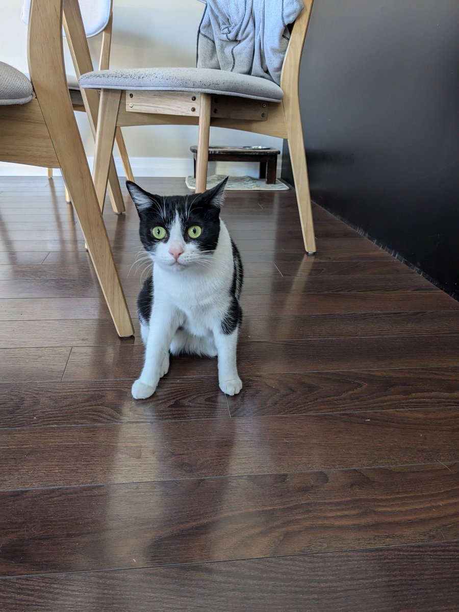 @eliotchan.bsky.social tweet media