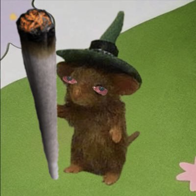 hatwifrat's tweet photo. @KookCapitalLLC I already see them magically jump over to $harry 
~ cuzhe got the OG cheesecake strain ~ he a chillrat https://t.co/x5rqgowXuo