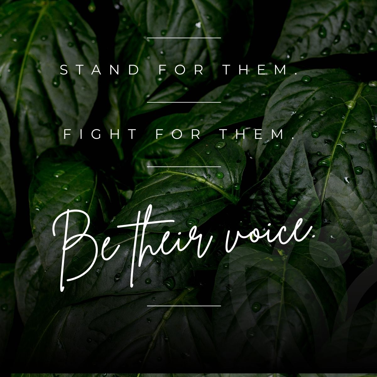 AraracoinX's tweet image. 🐘💪Together, we can make a difference. Will you stand with us? #AnimalRights #MakeAChange