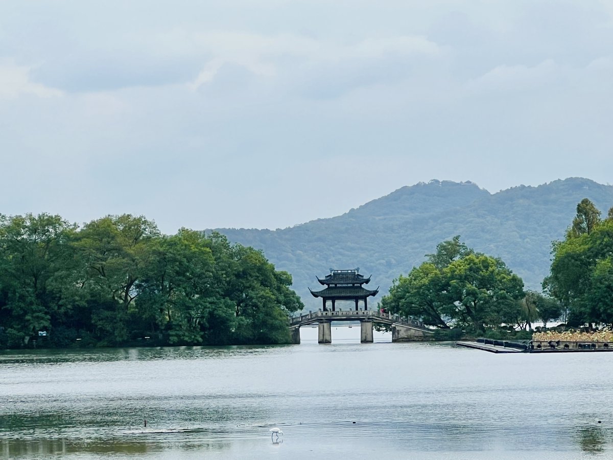rarefiedgas's tweet image. #bridge #embankment #egret #lake