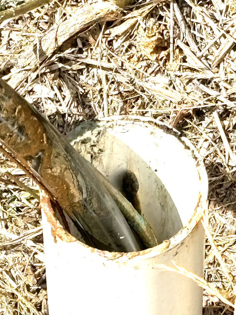 Pulling up solar pump by hand, danger noodle ahoy 🐍, rude shock, dunno how long it’s been down the hole for!!