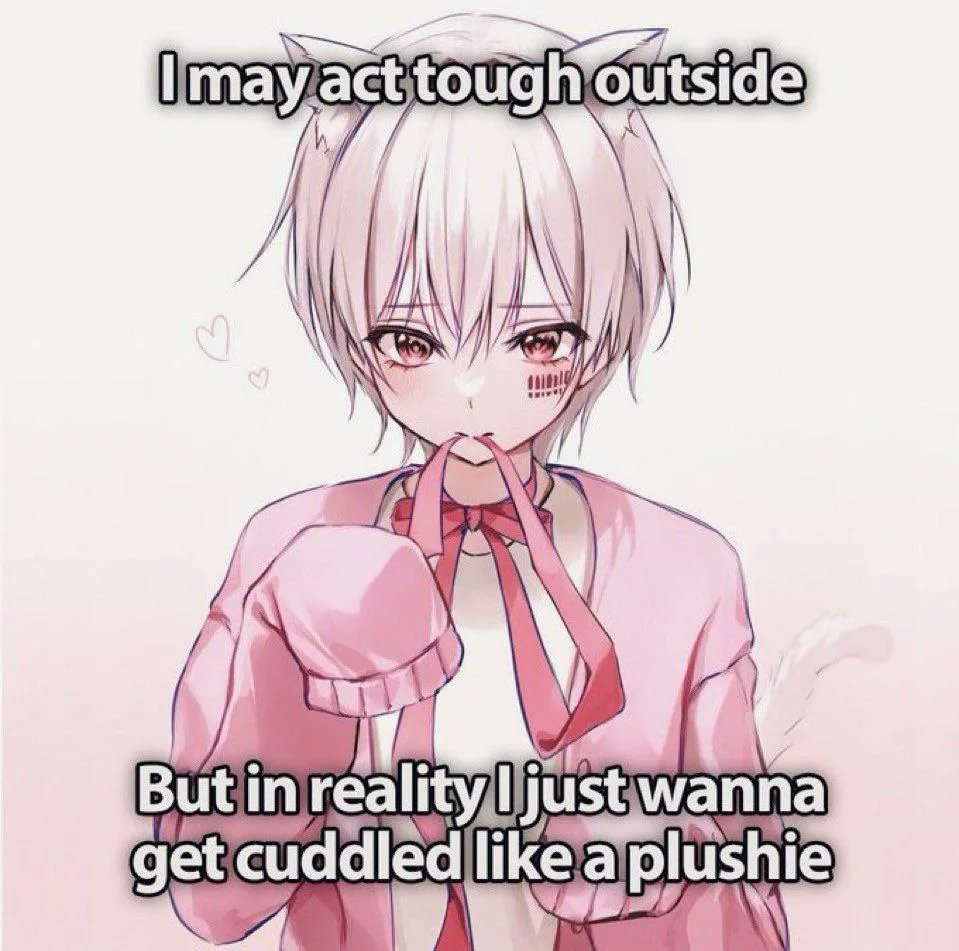 :3 (@femboyloveerr) on Twitter photo 