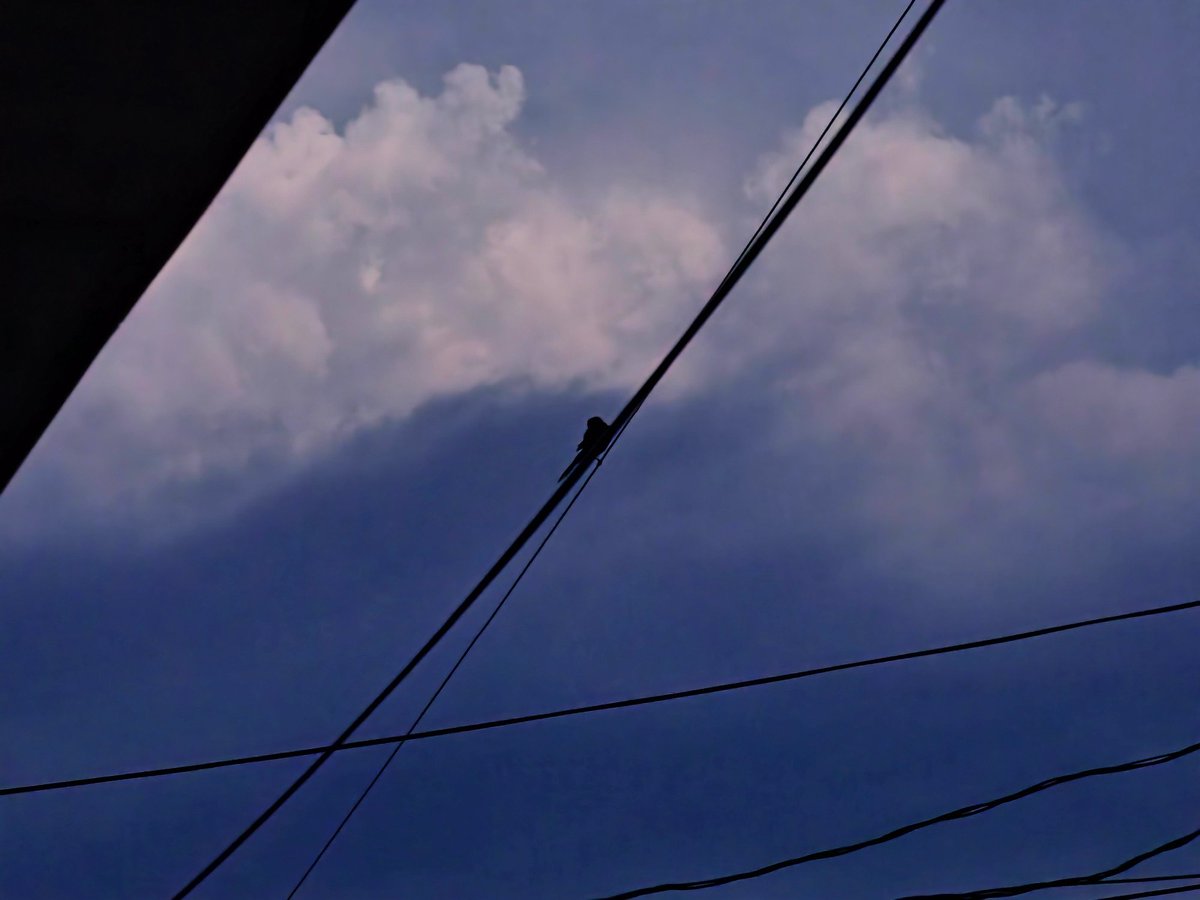 Stryyyyyyyyyyyy's tweet image. 