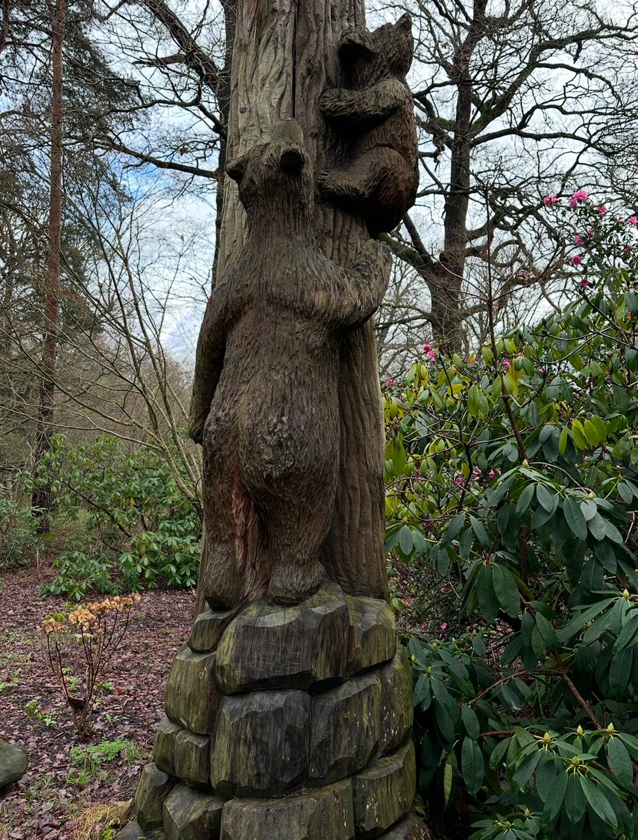 💙 Charmaine Hardy 💙 tweet media