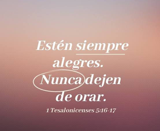 ¡La oración conecta el cielo a tu vida! Sé fiel, incluso cuando nadie ve, porque Dios sí. La alegría de adorar nace de tu amor sincero. ¡Ora, confía y brilla siempre!1 

#rps