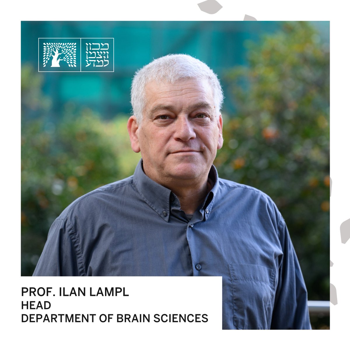 WeizmannScience's tweet image. Congratulations to Prof. Ilan Lampl, the new Head of the Department of Brain Sciences @Lampl_Lab