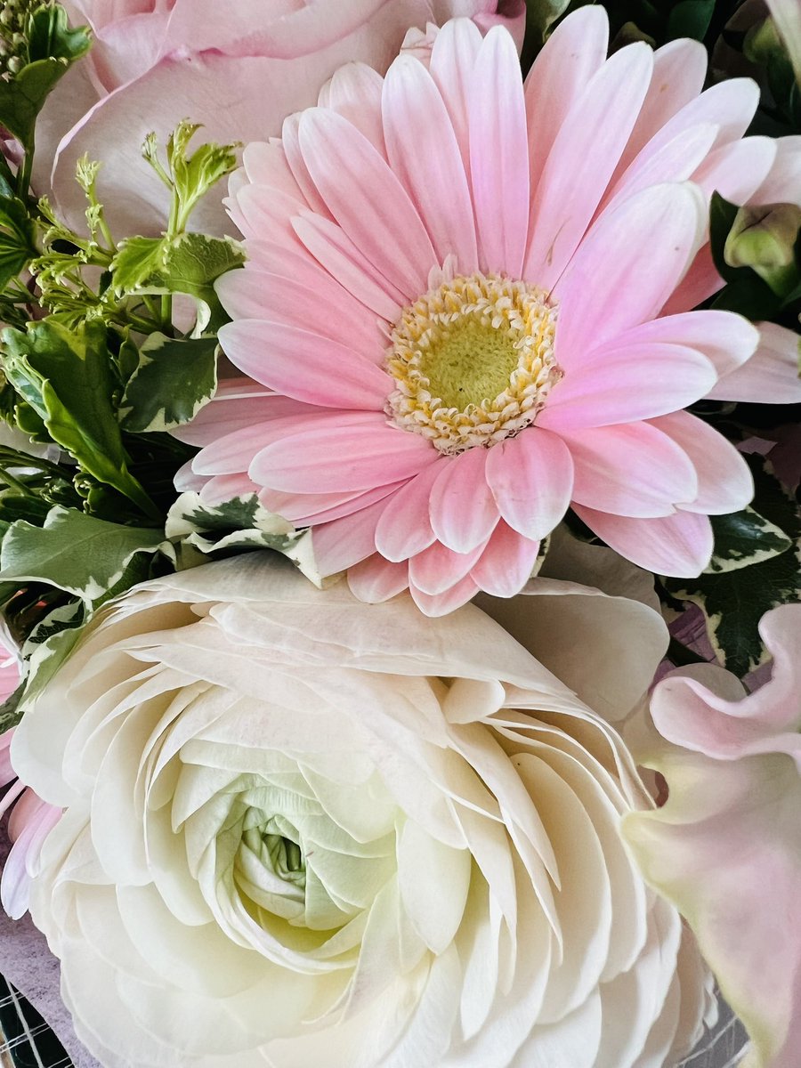 mannershiroko's tweet image. ２月は如月(きさらぎ)。寒さで「さらに衣を重ねて着る」月という意味があります。
この時期は、寒さとは裏腹に日が徐々にのびることから『光の春』とも呼ばれることも。この他に『梅見月』『雪消月』などとも言われます。
あなたの御心が満たされる２月をお過ごしくださいますように💫