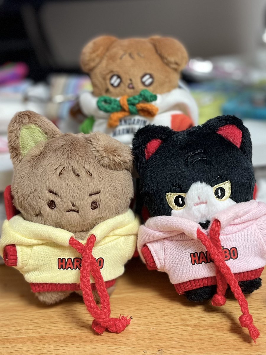 제가 여기서 옷 몇벌 사봤는데 찐 10깅 사람인형 보다는 저희 탈주깅들 같은 8깅 동물깅한테 더 찰떡이라 낑규남 깡현상 옷으로 추천합니다