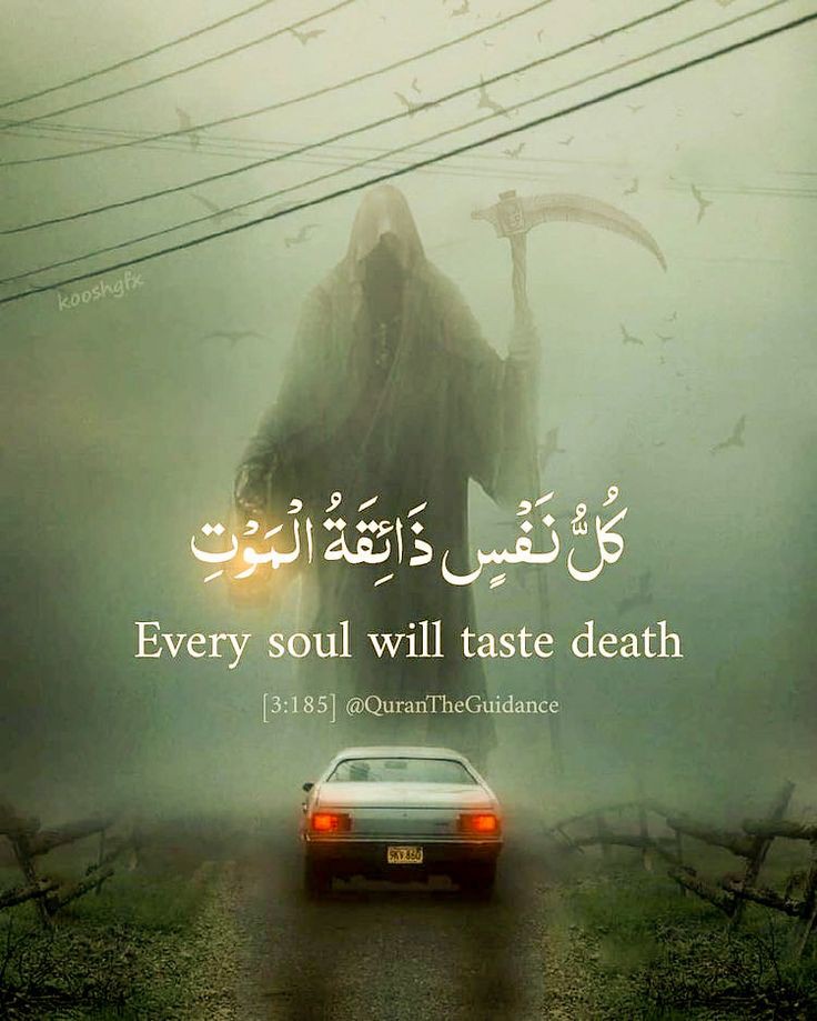 reposts, it will help you🤍🕊️