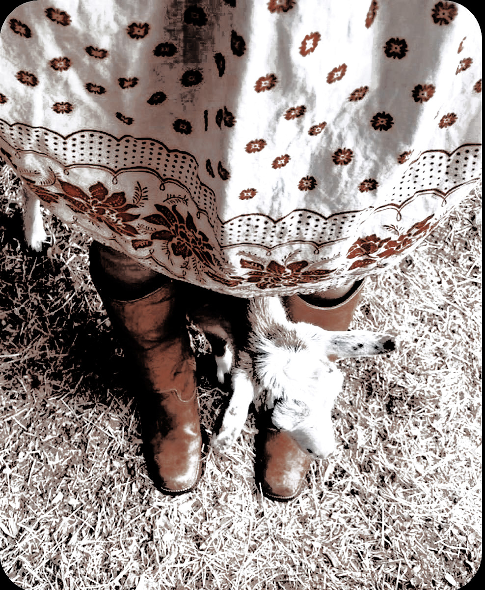 ‍ ‍ ‍ ‍ ‍ ‍𝐋𝗂𝗅𝗒 𝖤𝗏𝖺𝗇𝗌. (@crlmsondust) on Twitter photo 